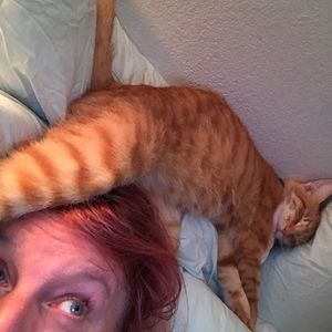 Meet your Posher, Julia